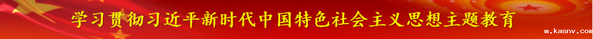 学习贯彻习近平新时代中国特色社会主义思想主题教育