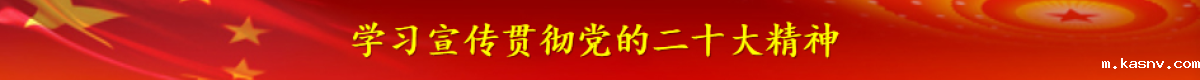 学习宣传贯彻党的二十大精神