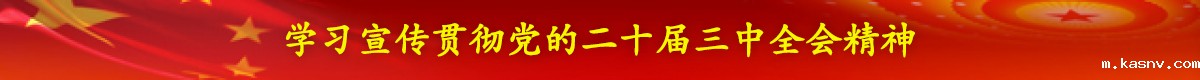 学习宣传贯彻党的二十届三中全会精神